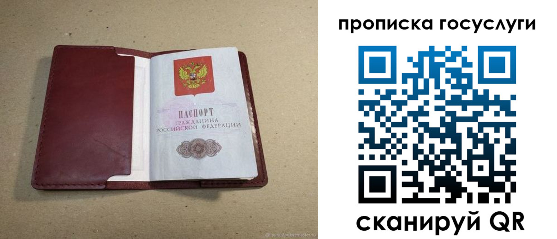 прописка поиск в Барнауле